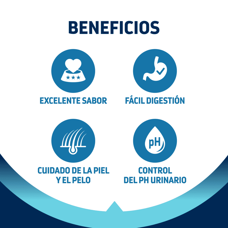 12 kg (10 + 2 kg gr&aacute;tis!) Advance Active Defense Adult Frango e Arroz Ra&ccedil;&atilde;o para gatos, , large Imagem n&uacute;mero 3